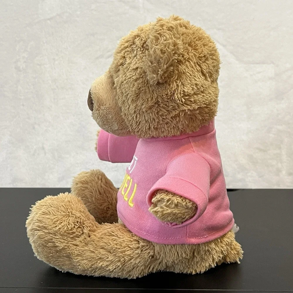 Gund Brown Teddy Bear Pink GET WELL Shirt Gift